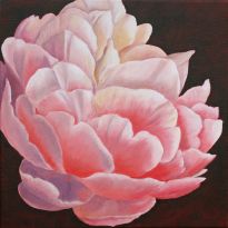 Peony II